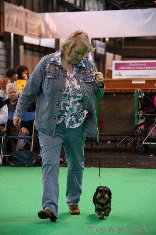 Crufts2011_2 1542.jpg